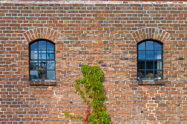 Ueckermuende Mecklenburg-Western Pomerania County Western Pomerania Greifswald Window at the Kulturspeicher in Bergstrasse Germany Europe