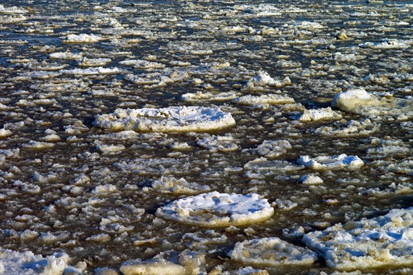 Drift ice on the Lower Elbe near Cuxhaven Doese