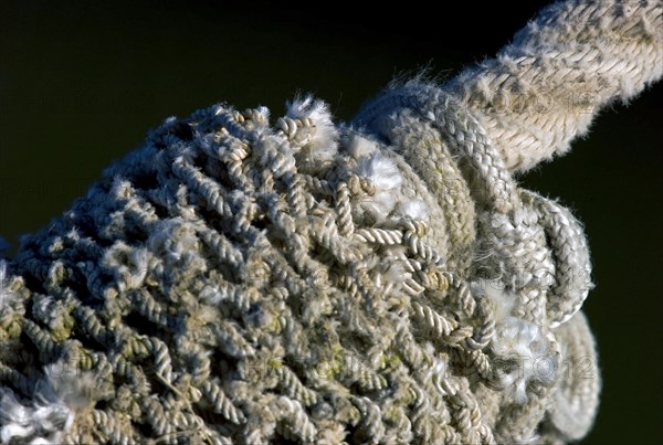 Rope of a crab cutter in the harbour of Dorum Neufeld in the district of Cuxhaven