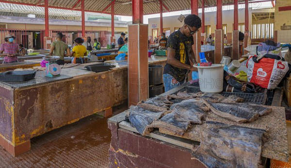 Fish Market Mindelo on Sao Vicente Island Cape Verde