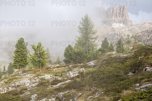 Passo di Falzarego in the fog