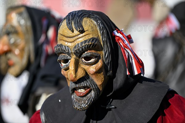 Fools Guild from Horb am Neckar at the Great Carnival Parade