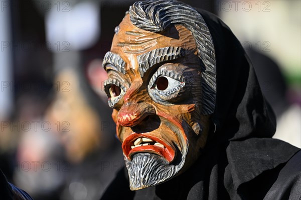 Fools Guild from Horb am Neckar at the Great Carnival Parade