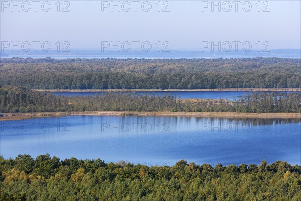 View over Priesterbaeker See