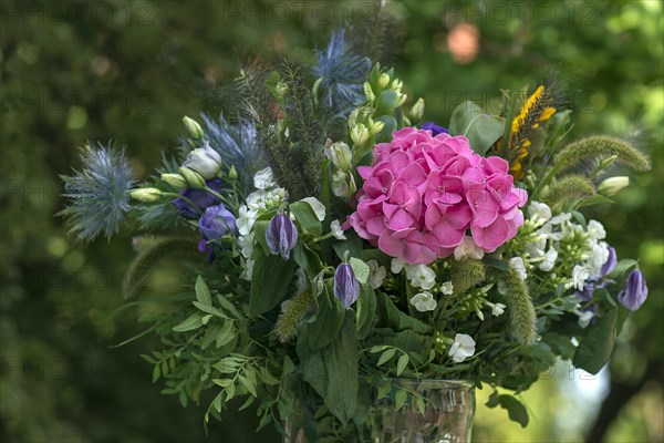 Colourful bouquet of flowers