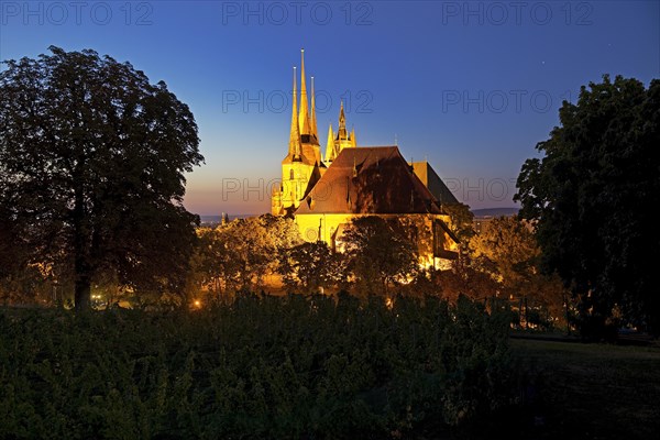 Severi Church and Erfurt Cathedral in the evening seen from Petersberg