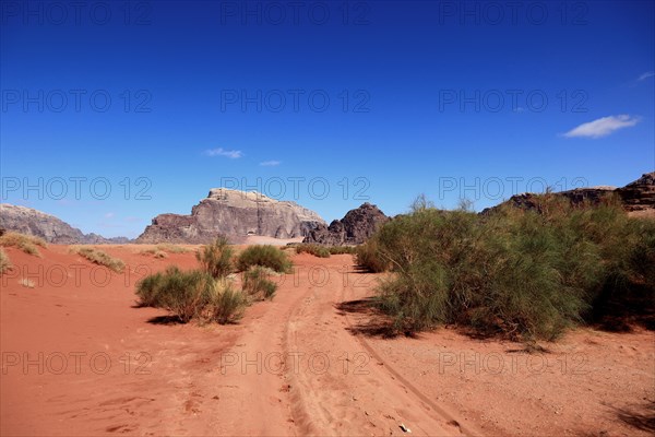 Desert landscape in Wadi Rum