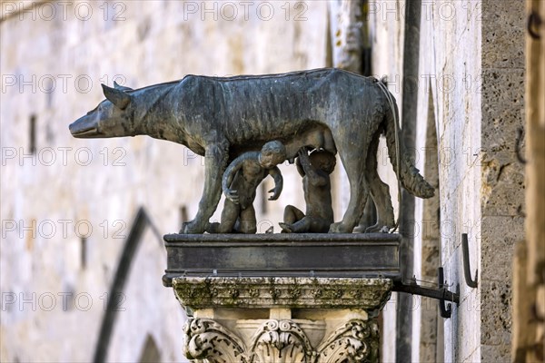 Romulus and Remus