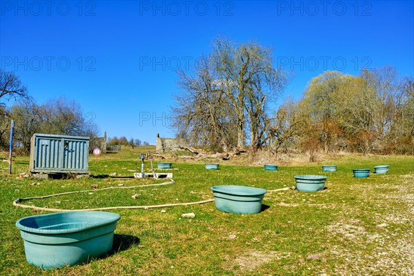 Improvised cattle trough