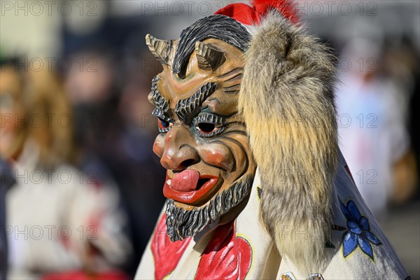 Fools Guild from Horb am Neckar at the Great Carnival Parade