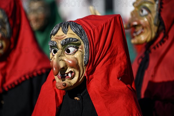 Fools Guild from Horb am Neckar at the Great Carnival Parade