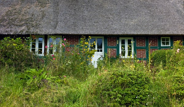 Unmaintained front garden of a Lower Saxony farmhouse