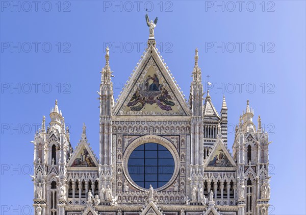 Siena Cathedral