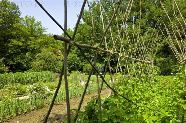 Farm garden