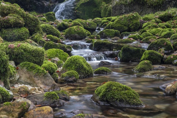 Mossy mountain stream in UNESCO World Natural Heritage Duernstein