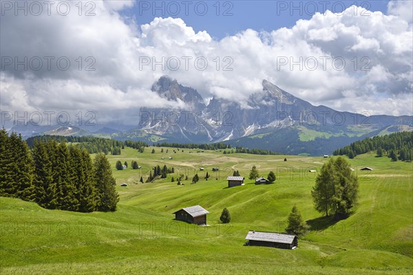 Alpine huts on the Alpe di Siusi