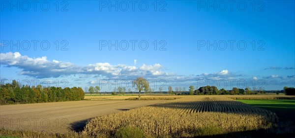 Autumn atmosphere in the dyke foreland