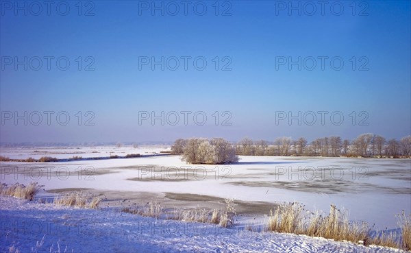 Winter dyke foreland near Neuenkirchen