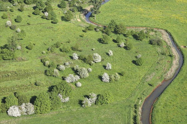 Aerial view over rural landscape with flowering hawthorn