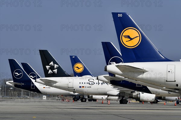 Lufthansa aircraft parked on position at satellite