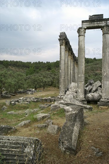 Temple of Zeus