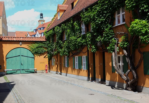 House facade with tree in front