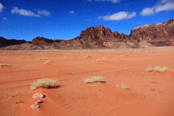 Desert landscape in Wadi Rum