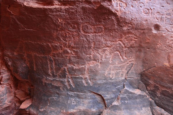 Rock paintings at Jebel Khazali in Wadi Rum