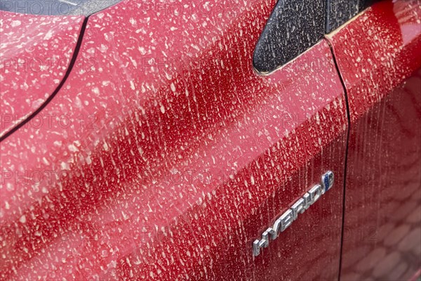 Sahara dust on car