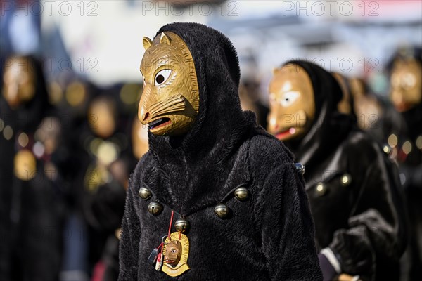 Fools Guild Biberach at the Great Carnival Parade