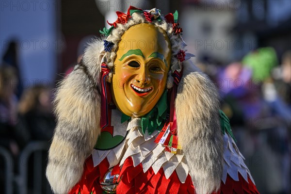 Fools Guild Meerettichdaemone from Urloffen at the Great Carnival Parade