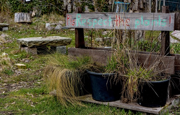 Plants and objects in Wriezen Park