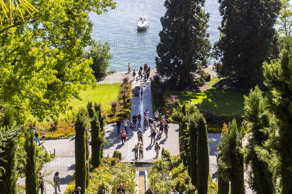 Flower Island Mainau with flowers and exotic plants