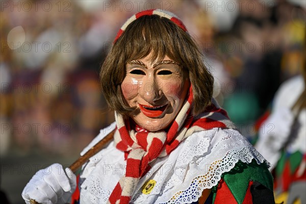 Narrenzunft Neustadt from Titisee-Neustadt at the Great Carnival Parade