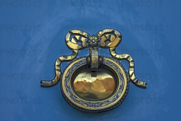 Antique door knocker on a front door