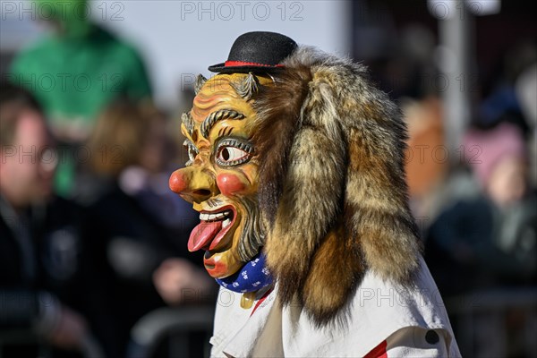 Fools Guild from Horb am Neckar at the Great Carnival Parade