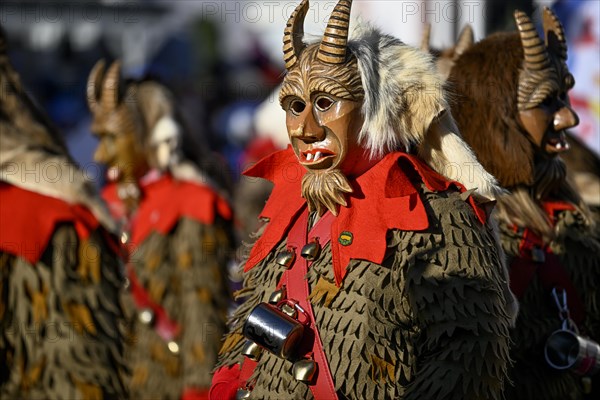 Geissentaeler Narrenzunft from Menzenschwand at the big carnival procession