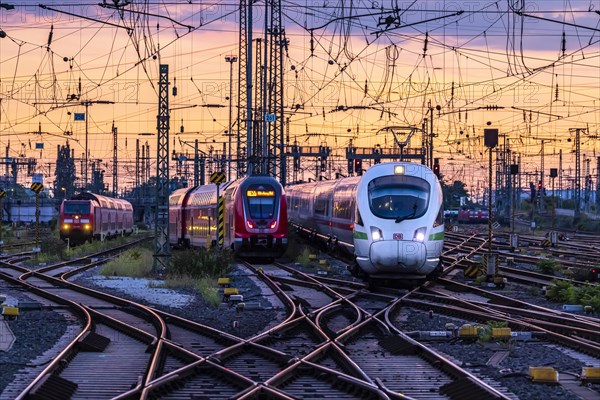 Main station in the evening glow