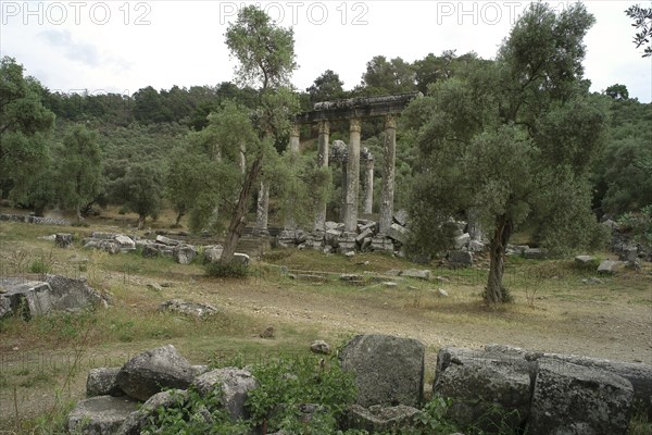 Temple of Zeus