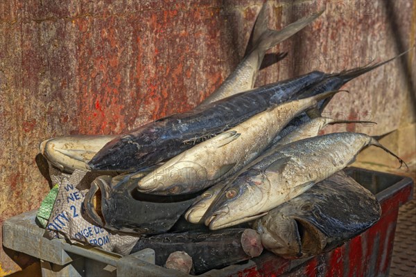 Fish Market Mindelo on Sao Vicente Island Cape Verde