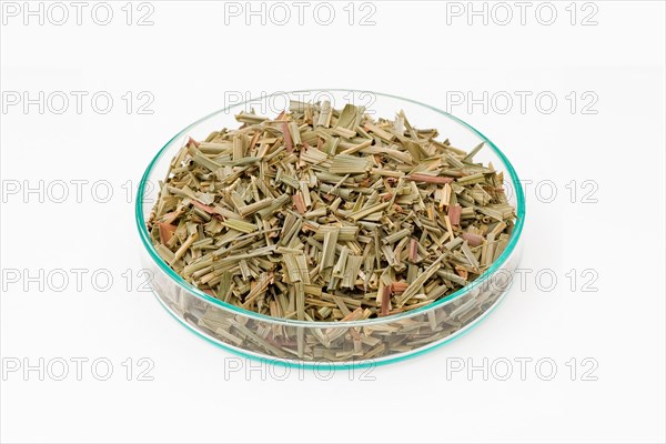 Lemongrass tea