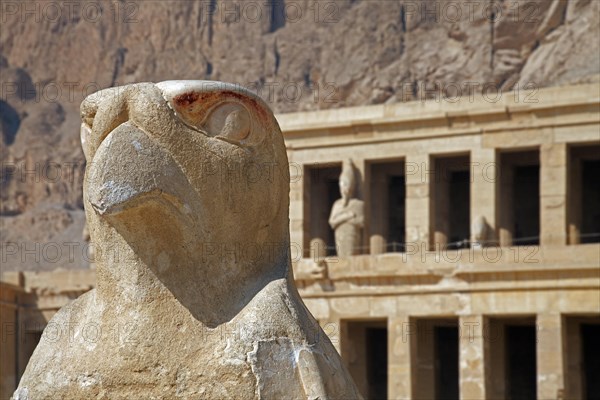 Statue of the falcon god Horus at the Mortuary Temple of Queen Hatshepsut