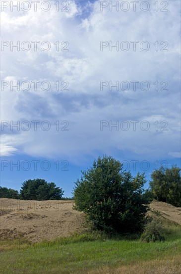 Altwarp Mecklenburg-Western Pomerania County Western Pomerania Greifswald Altwarp Inland Dunes Germany Europe