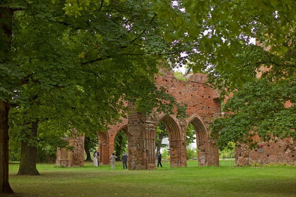 Greifswald Mecklenburg-Western Pomerania Western Pomerania Greifswald Wieck Eldena Monastery Germany Europe