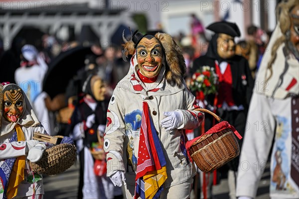 Fools Guild from Horb am Neckar at the Great Carnival Parade