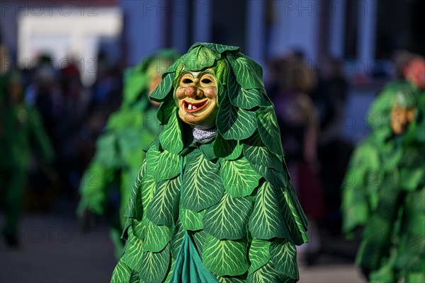 Narrenzunft Krutblaettsche from Kehl-Goldscheuer at the Great Carnival Parade