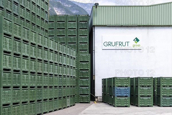 Vegetable crates and fruit crates in front of a green mountain. GRUFUT fruit cooperative in Salurn. The approximately 600 members cultivate 1