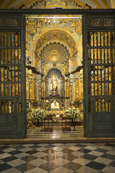 Basilica Metropolitan Cathedral of Lima