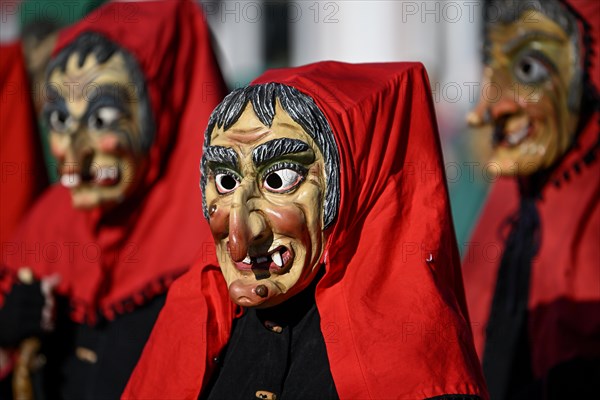 Fools Guild from Horb am Neckar at the Great Carnival Parade