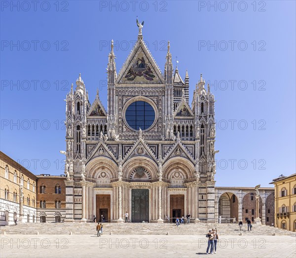 Siena Cathedral